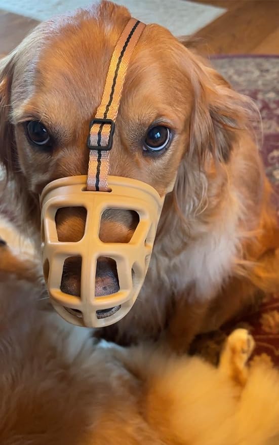 Mayerzon Dog Muzzle, Breathable Basket Muzzles for Small, Medium, Large and X-Large Aggressive Dogs Beagle German Shepherd Doberman, Cage Mouth Guard Stop Biting Chewing for Grooming Training-Mewly Pet