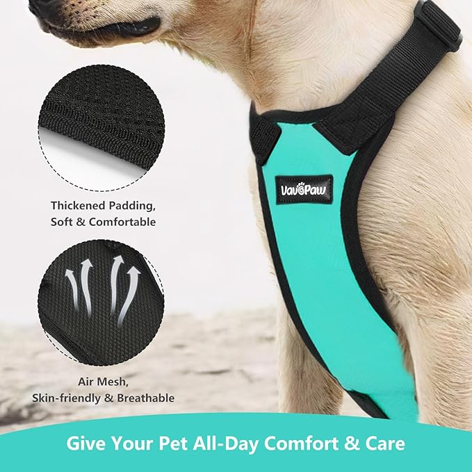 Dog Seat Belt, Safety Vest Dog Car Harness with Adjustable Buckle Dog Seat Belt for Vehicle Nylon Pet Safety Seat Belts Heavy Duty(XXL, Blue)-Mewly Pet