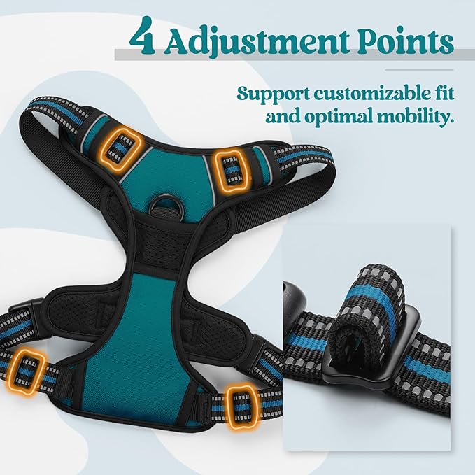 rabbitgoo Dog Harness No Pull with 2 Leash Clips, Adjustable Soft Padded, Reflective Oxford No Choke Pet Vest with Easy Control Handle for Medium Sized Dogs, Blue Coral, M-Mewly Pet