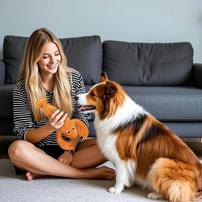 Squeaky Dog Toy No Stuffed Dog Toys,Lobster Puppy Toys for Small Medium Large Breed pups Teething Interactive Toy to Keep Them Busy, Best Christmas Birthday Gift-Mewly Pet