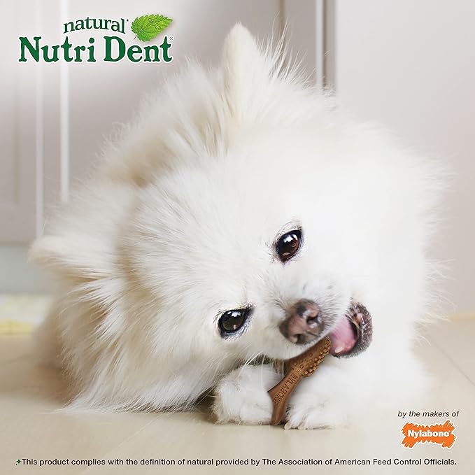 Nylabone Nutri Dent Dog Dental Chews - Natural Dog Teeth Cleaning & Breath Freshener - Dental Treats for Dogs - Filet Mignon Flavor, Mini (32 Count) (Pack of 2)-Mewly Pet