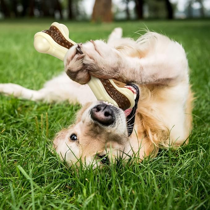 Sosation 6 Pcs Dog Toys for Aggressive Chewers Nylon Beef Flavor Bones Tough Puppy Teething Toys Puppy Chew Bones for Large Medium Small Breed Dogs Puppies Pets Chew Toys(Large Medium)-Mewly Pet