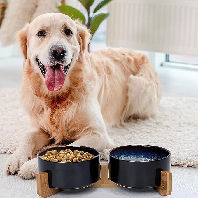 SPUNKYJUNKY Ceramic Dog and Cat Bowl Set with Wooden Stand, Modern Cute Weighted Food Water Set for Small Size Dogs (13.5OZ) & Medium Sized Dogs (28.7OZ) & Cats (3.6 Cups, 2 × Starry Blue)-Mewly Pet