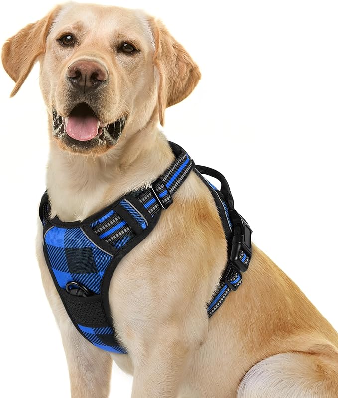 rabbitgoo Dog Harness No Pull with 2 Leash Clips, Adjustable Soft Padded, Reflective Oxford No Choke Pet Vest with Easy Control Handle for Large Dogs, Blue Plaid, L-Mewly Pet