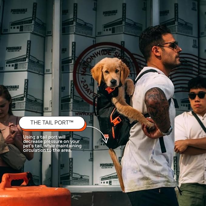 The Maxine One Medium Dog Carrier by Little Chonk | Dog Backpack Carrier for Medium Sized Breeds | Adjustable Front Facing Pet Carrier for Travel | Dog Hiking Backpack - Bark After Dark Black-Mewly Pet