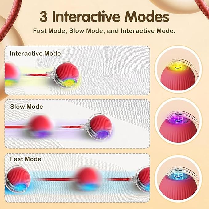 Interactive Cat Toys Ball, Newly Upgraded Automatic with Elastic Tail Rope and USB Charging. Stimulates Hunting Instincts and Promotes Exercise. Interactive Cat Toys for Bored Indoor Adult Cats-Mewly Pet