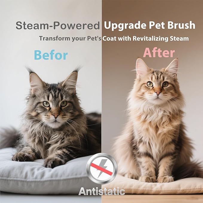 4 in 1 Cat Steam Brush Rechargeable Anti-Static Pet Spray Hair Removal Comb for Shedding and Grooming Multi-functional Pet Massage Brushes for Cats Dogs Small Animals-Mewly Pet