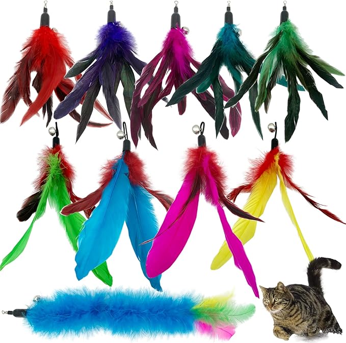 Cat Feather Toys Refills, 10 Pieces Interaction Cat Wand Replacement Feathers Toy for Indoor Cats-Mewly Pet