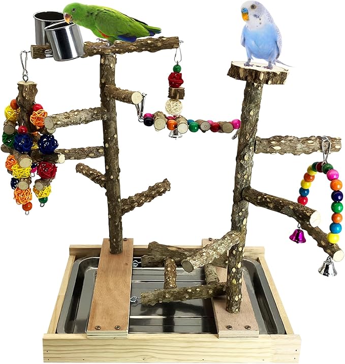 Tfwadmx Bird Playground Natural Wood Bird Play Stands Parrot Perch Stand with Removable Tray Climb Ladders Swing Chewing Toys for Lovebirds Cockatiels Budgies-Mewly Pet