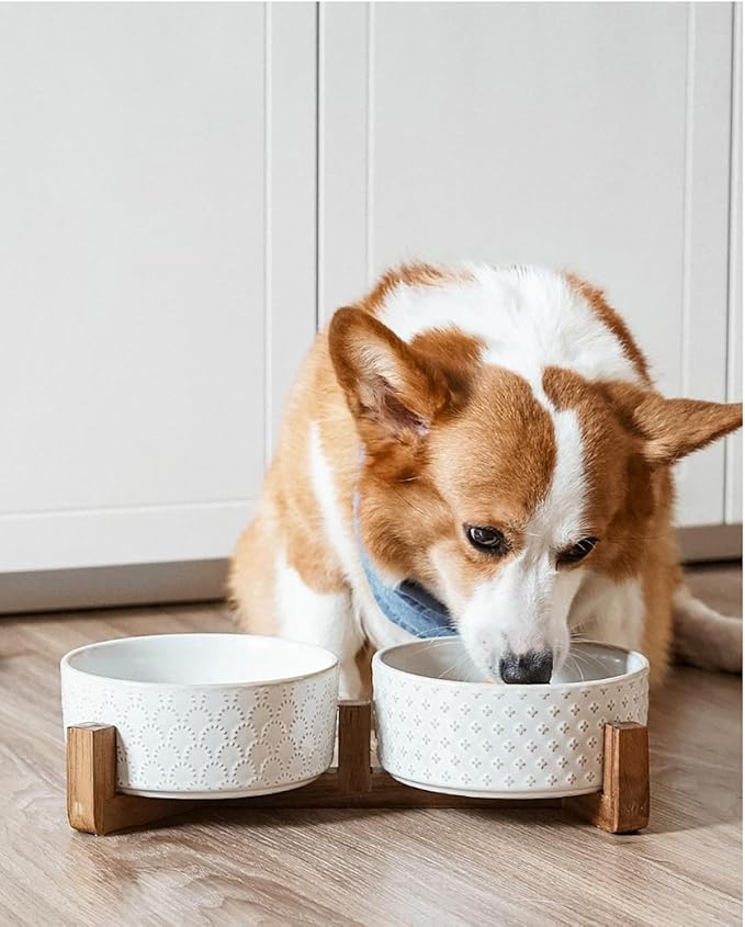 LE TAUCI Ceramic Dog Bowls with Acacia Wood Stand - 7 Inch Food & Water Set for Medium-Large Dogs - Weighted Pet Bowls-Mewly Pet