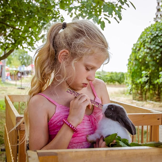 Sofier Timothy Hay Treats Rabbit Toys Bunny Toys Guinea Pig Hamster Natural Chews for Teeth Handmade Rabbit Chews and Treats Chinchilla Rat Gerbil-Mewly Pet