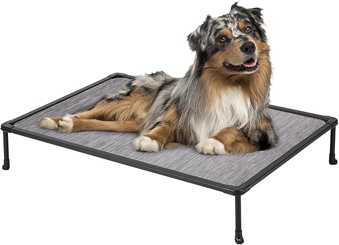 Veehoo Chewproof Elevated Dog Bed - Cooling Raised Pet Cot, Breathable Mesh, Washable & Non-Slip for Medium Dogs, Indoor/Outdoor, Black Silver Mat and Black Frame, 32x25inches (Model CWC2203A03)-Mewly Pet