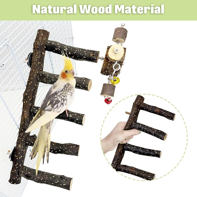 BNOSDM Natural Wood Bird Ladder Perch with Rotating Bell Toys-Exercise Stands for Parrot Climbing Chewing Parakeet Bridge Cage Accessories for Cockatiel, Conures, Lovebirds, Budgie-Mewly Pet