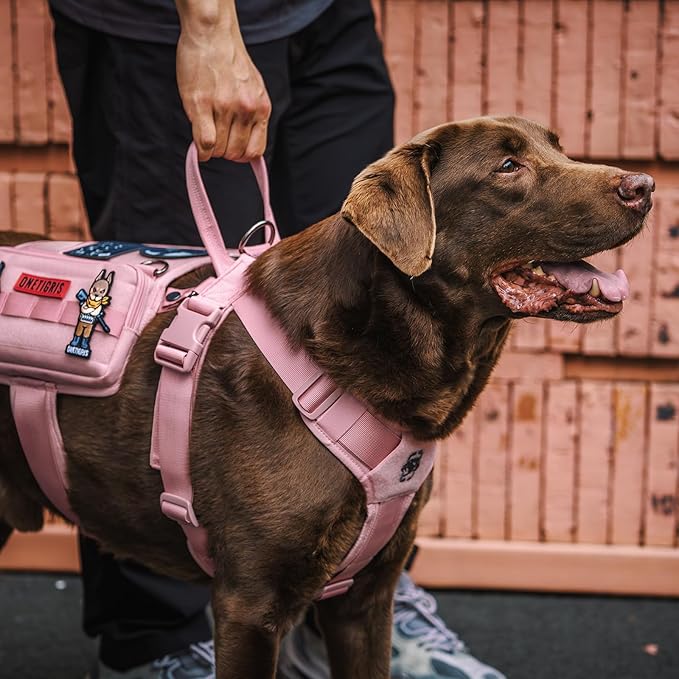 OneTigris Service Dog Vest Harness, Service Dog Cape Guardian Dog Backpack Harness with Pouches Dog Saddle Bag for Small Medium and Large Dogs (Pink, Large)-Mewly Pet