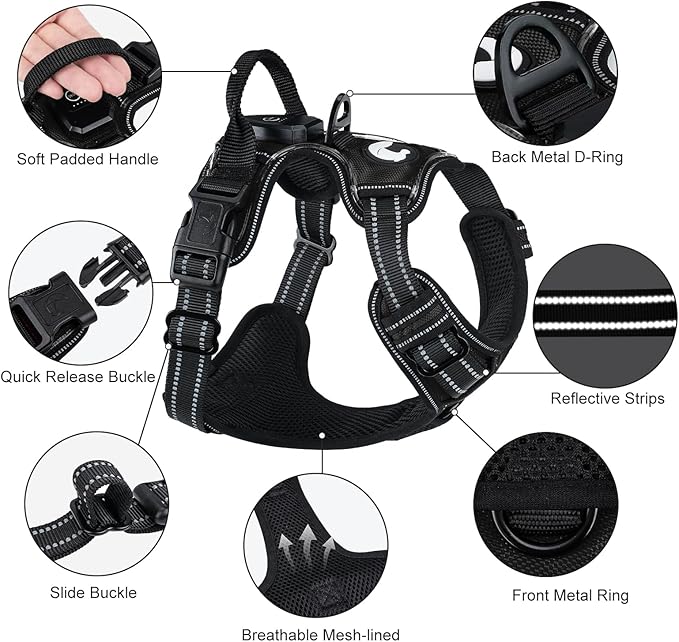 Taglory Light Up Dog Harness, Rechargeable No Pull Dog Vest with 3 Lightning Modes, Reflective Dog Harness with 2 Leash Clips & 4 Adjustable Slide Strips for Large Dogs, Black-Purple, XL-Mewly Pet