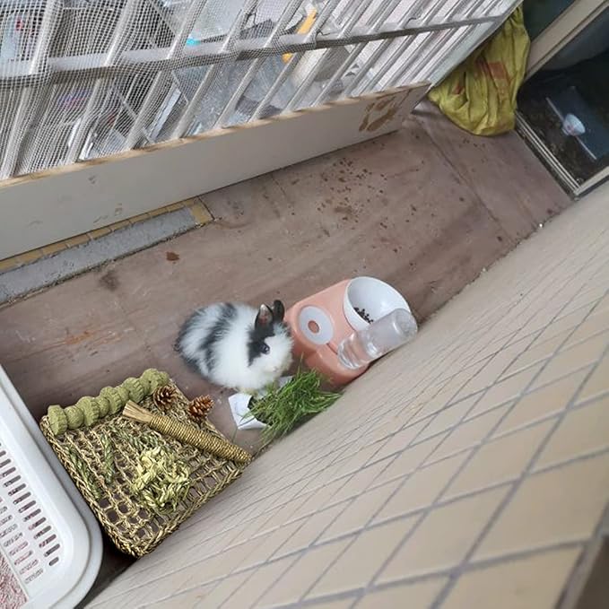 Hamiledyi Rabbit Seagrass Mat Bunny Chew Toys for Teeth Hanging Activity Mat Rabbit Enrichment Activity Mat Small Animal Toys for Hamster Guinea Pigs Gerbil Birds-Mewly Pet