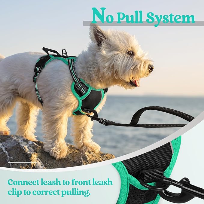 rabbitgoo Dog Harness No Pull with 2 Leash Clips, Adjustable Soft Padded, Reflective Oxford No Choke Pet Vest with Easy Control Handle for Puppy, Black & Turquoise, XS-Mewly Pet