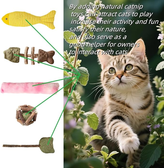 Natural Cat Toys Set with Catnip Fish & Bone,Catnip Plush Toy & Natural Silvervine Stick Cage Balls & cat nip for Cats Lolipop, 8-Piece cat Toys for Indoor Cats Interactive Pet Toys-Mewly Pet