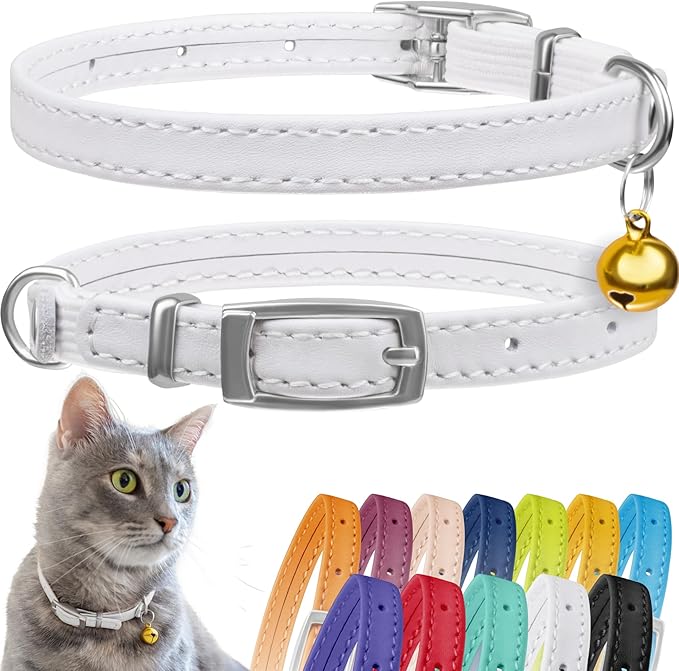 CollarDirect Leather Cat Collar with Bell - Kitten Collar, Small and Big Cat Strap for Boy Cats, Girl Cats with Safety Elastic Strap (Neck Fit 8"-11", White)-Mewly Pet