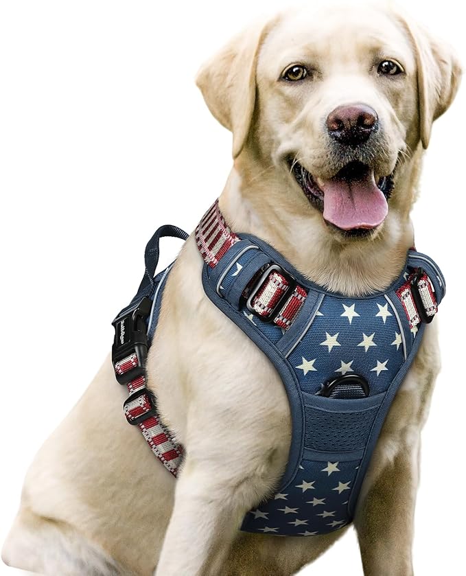 rabbitgoo Dog Harness No Pull with 2 Leash Clips, Adjustable Soft Padded, Reflective Oxford No Choke Pet Vest with Easy Control Handle for Large Dogs, Blue Star, L-Mewly Pet