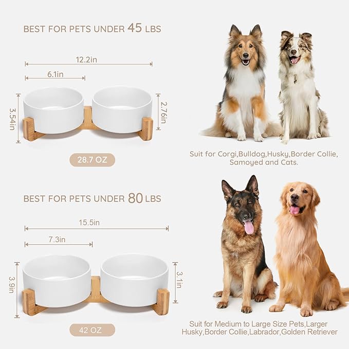 SPUNKYJUNKY Ceramic Dog and Cat Bowl Set with Wooden Stand, Modern Cute Weighted Food Water Bowl Set for Medium to Large Size Dogs (42 OZ, 2 × White)-Mewly Pet