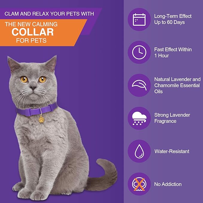 4 Pcs Cat Calming Collar Adjustable Lavender Scent Relaxing Cat Collar with 2 Pendant for Puppies Reduce Stress Aggression Anxious, up to 15 Inches(Purple, Gold)-Mewly Pet