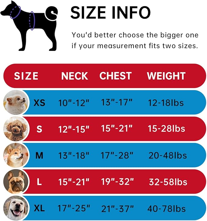 IVY&LANE No Pull Dog Harness for Medium Dogs, Dog Vest Harness with Leash, Safety Belt and Storage Strap, Fully Adjustable, 360 Reflective Strip, Soft Handle (Red, M)-Mewly Pet