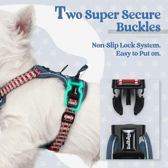 rabbitgoo Dog Harness No Pull with 2 Leash Clips, Adjustable Soft Padded, Reflective Oxford No Choke Pet Vest with Easy Control Handle for Large Dogs, Blue Star, XS-Mewly Pet