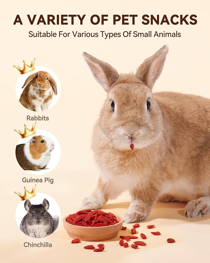 Niteangel Goji Berries Rabbits Snack Treats: 12pcs Natural Chew Toys for Bunny Chinchilla Guinea Pigs and Other Small Animals-Mewly Pet