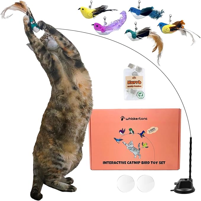 Interactive Catnip Bird Toy Set, Interactive Cat Toys for Indoor Cats, Cat Feather Toy, Self-Holding Suction Base, 5 Birds, Catnip Pouches, Feathers & Bells, Realistic Bird Impression-Mewly Pet