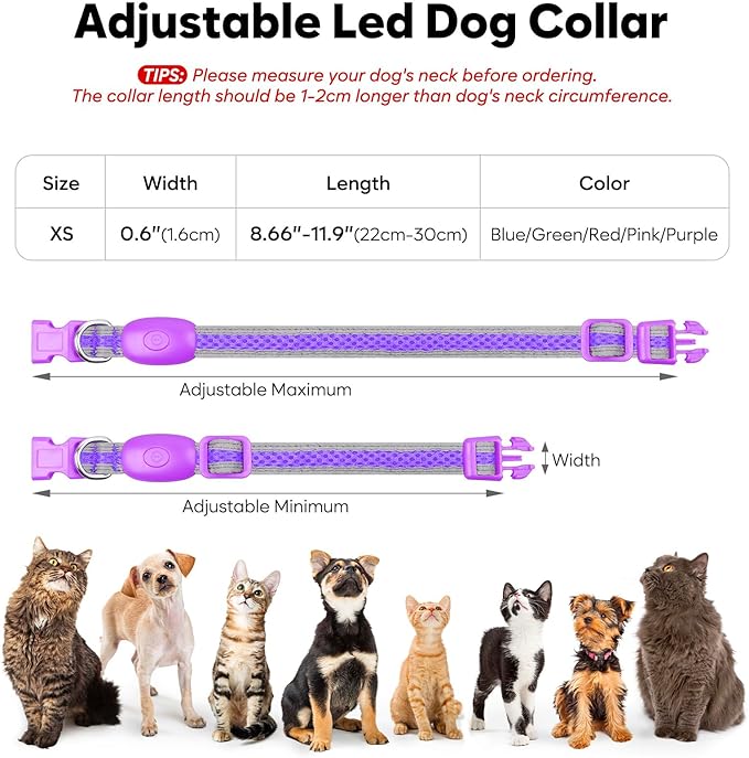 Flashseen LED Cat Collar,Light Up Dog Collar Rechargeable, Dog Lights for Night Walking, Comfortable Soft Mesh Pet Collar Adjustable for Cats Puppy and Small Dogs (Purple, XS)-Mewly Pet