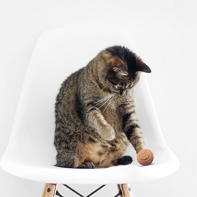 Cat Ball Toys by Americat – Made in USA – Safe Cardboard Cat Toys – for Interactive and Independent Play, Exercise & Stress Relief for All Breeds & Ages (Variety Pack of 3 Balls)-Mewly Pet
