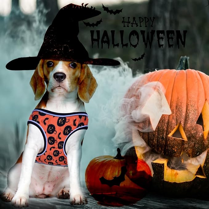 Comfort Fit Dog Harness – Adjustable No-Pull Vest for Small, Medium & Large Dogs – Soft Padded Step-in Design for Easy Control – Ideal for Walking, Running & Training – All-Weather Premium Dog Vest-Mewly Pet