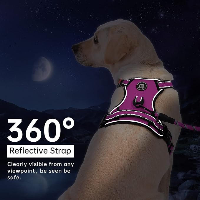 IVY&LANE No Pull Dog Harness for Small Dogs, Dog Vest Harness with Leash, Safety Belt and Storage Strap, Fully Adjustable Harness, 360° Reflective Strip, Soft Handle (Fuchsia Pink,S)-Mewly Pet