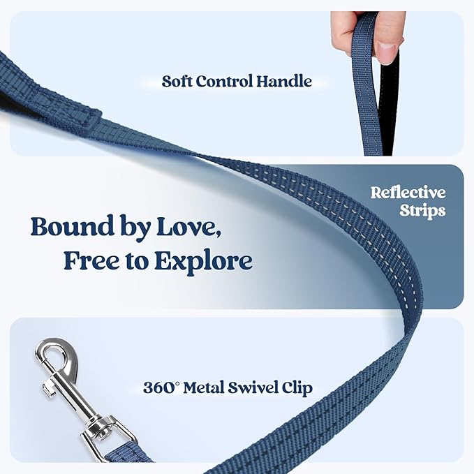 rabbitgoo Dog Harness Small Sized and Leash Set, Step in Soft Light Puppy Vest, Breathable Mesh Pet Harness, Reflective for Safe Outdoor Walking, Navy Blue M-Mewly Pet