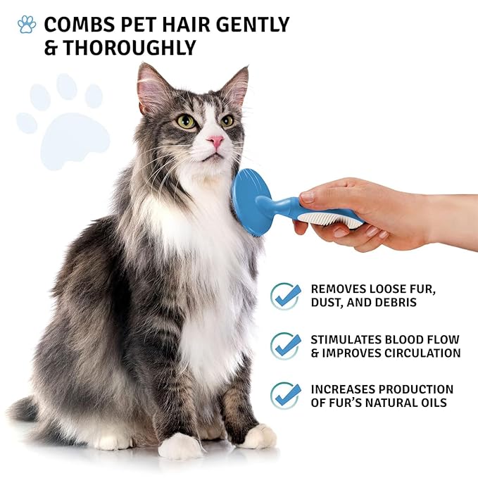Round Bristle Pet Brush for Dogs and Cats - Soft Dog Brush for Grooming Short or Long Hair - Gentle Tool for Sensitive Skin Removes Dander, Dirt, and Detangles (Blue)-Mewly Pet