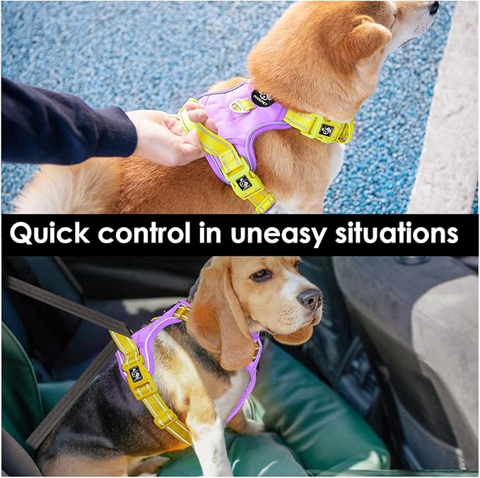 PHOEPET No Pull Dog Harness, Unique Colors Reflective Adjustable Dog Vest, with Soft Training Handle Metal Clips for Small Medium Large Dogs (Baby Purple Base & Yellow Straps,L)-Mewly Pet