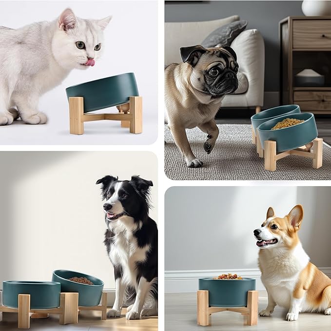 SPUNKYJUNKY 15° Slanted Ceramic Dog and Cat Bowl with Wooden Stand, Tilted Bulldog Food and Water Bowl No Slip Non-Spill for Cats Medium Dogs Big Face Pets 13.5 OZ (1.7 Cups, Green × 2)-Mewly Pet