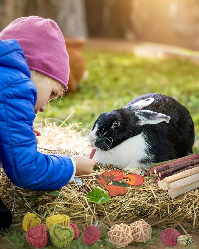 ERKOON 33PCS Bunny Chew Toys for Rabbits Teeth, Natural Rabbit Toys Apple Wood Sticks, Carrot, Timothy Grass Toys for Small Pets, Hamster, Chinchilla, Guinea Pig Dental Care and Treat Teething Toys-Mewly Pet