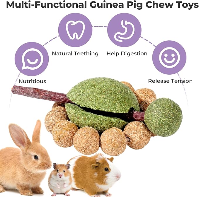 mini&moe Hamster Chew Toys for Teeth – Guinea Pig Chew & Treats Natural Edible Apple Wood Sticks Improve Dental Health Hamster Enrichment Toys for Rabbit, Bunny, Chinchilla, Gerbils, Rat-Mewly Pet