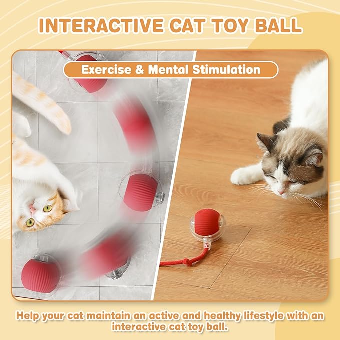 Interactive Cat Toys for Indoor Cats, Rechargeable 360° Automatic Moving Cat Toy for Bored Indoor Adult Cats, 2025 Upgraded Chase Motion Activated Kitten Toys - Red-Mewly Pet
