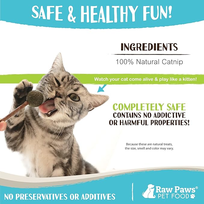 Raw Paws Catnip & Silvervine Lollipops Interactive Cat Toy (6 Pack) - Silvervine Sticks for Cats - Catnip Ball Toy - Fresh Cat Nip - Silver Vine Dental Sticks-Mewly Pet