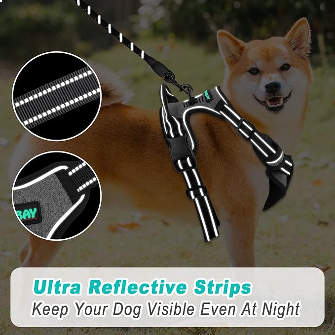 BARKBAY No Pull Dog Harness Large Step in Reflective Dog Harness with Front Clip and Easy Control Handle for Walking Training Running(Flint Gray,L)-Mewly Pet