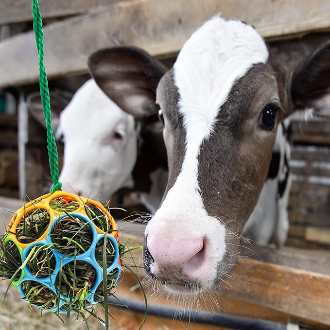 Besimple 2 Pack Horse Treat Ball Hay Feeder Toy, Goat Feeder Ball Hanging Feeding Toy for Horse Goat Sheep Relieve Stress (Colorful)-Mewly Pet