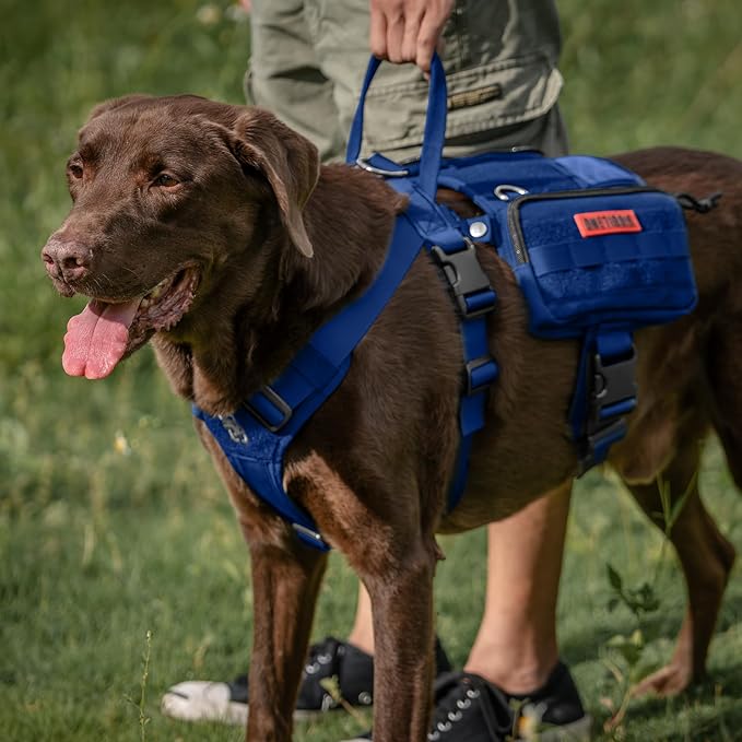 OneTigris Service Dog Vest Harness, Service Dog Cape Guardian Dog Backpack Harness with Pouches Dog Saddle Bag for Small Medium and Large Dogs (Blue, Small)-Mewly Pet