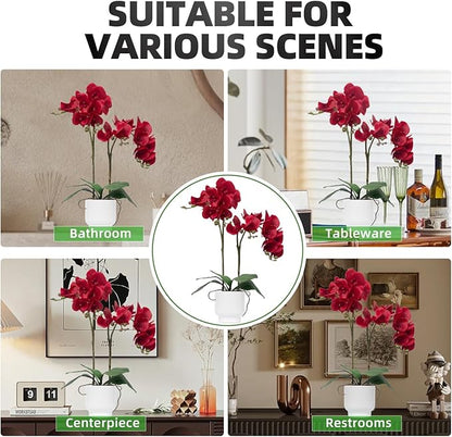 CXGS Orchids Artificial Flowers Real Touch Fake Flowers in Ceramic Pot 20" Red Faux Orchid Plant Lifelike Silk Phalaenopsis for Centerpiece Hotel Home Indoor Decor