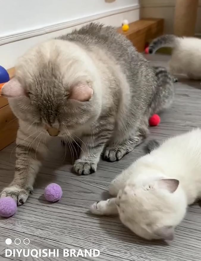 15-Pack Cat Toy Variety for Indoor Cats, Jumping for Joy (1.5'' - 3.7'', Cat Toys Mega Set)-Mewly Pet