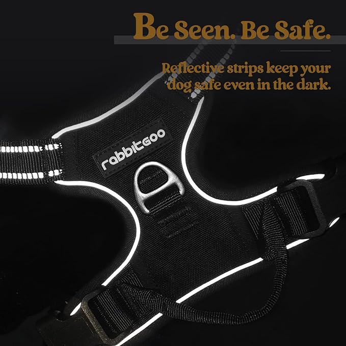rabbitgoo Dog Harness No Pull with 2 Leash Clips, Adjustable Soft Padded, Reflective Oxford No Choke Pet Vest with Easy Control Handle for Large Dogs, Black, XL-Mewly Pet