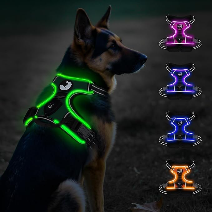 Taglory Light Up Dog Harness, Rechargeable No Pull Dog Vest with 3 Lightning Modes, Reflective Dog Harness with 2 Leash Clips & 4 Adjustable Slide Strips for Large Dogs, Turquoise-Green, XL-Mewly Pet