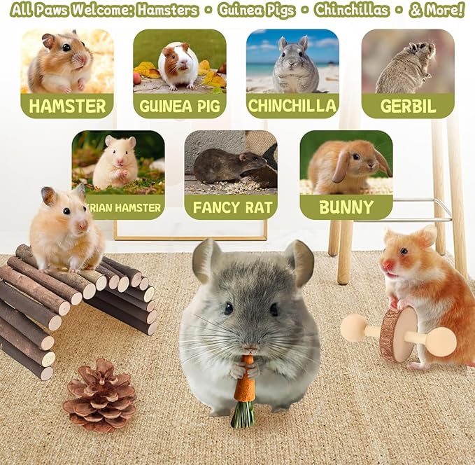18 PCS Hamster Chew Toys Set, Natural Apple Wood Guinea Pig Toys, Hamster Cage Accessories Include Bridge, Seesaw, Carrot, Timothy Straw Stick Dental Care for Rat Gerbil Chinchilla Rabbits-Mewly Pet